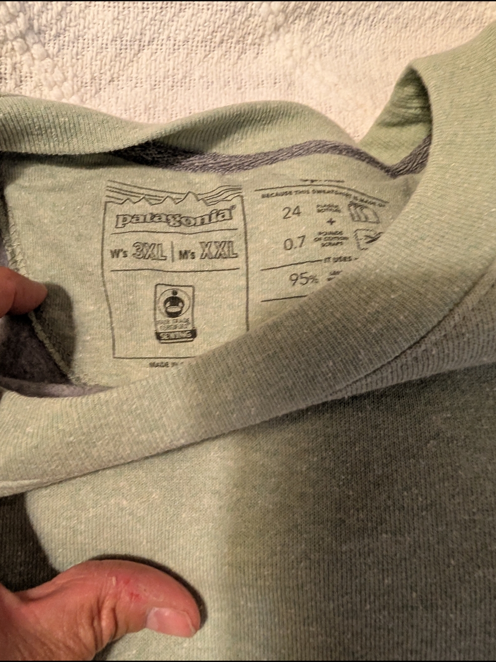 Patagonia Logo Crewneck Sweatshirt in Sage Green - Picture 3 of 3